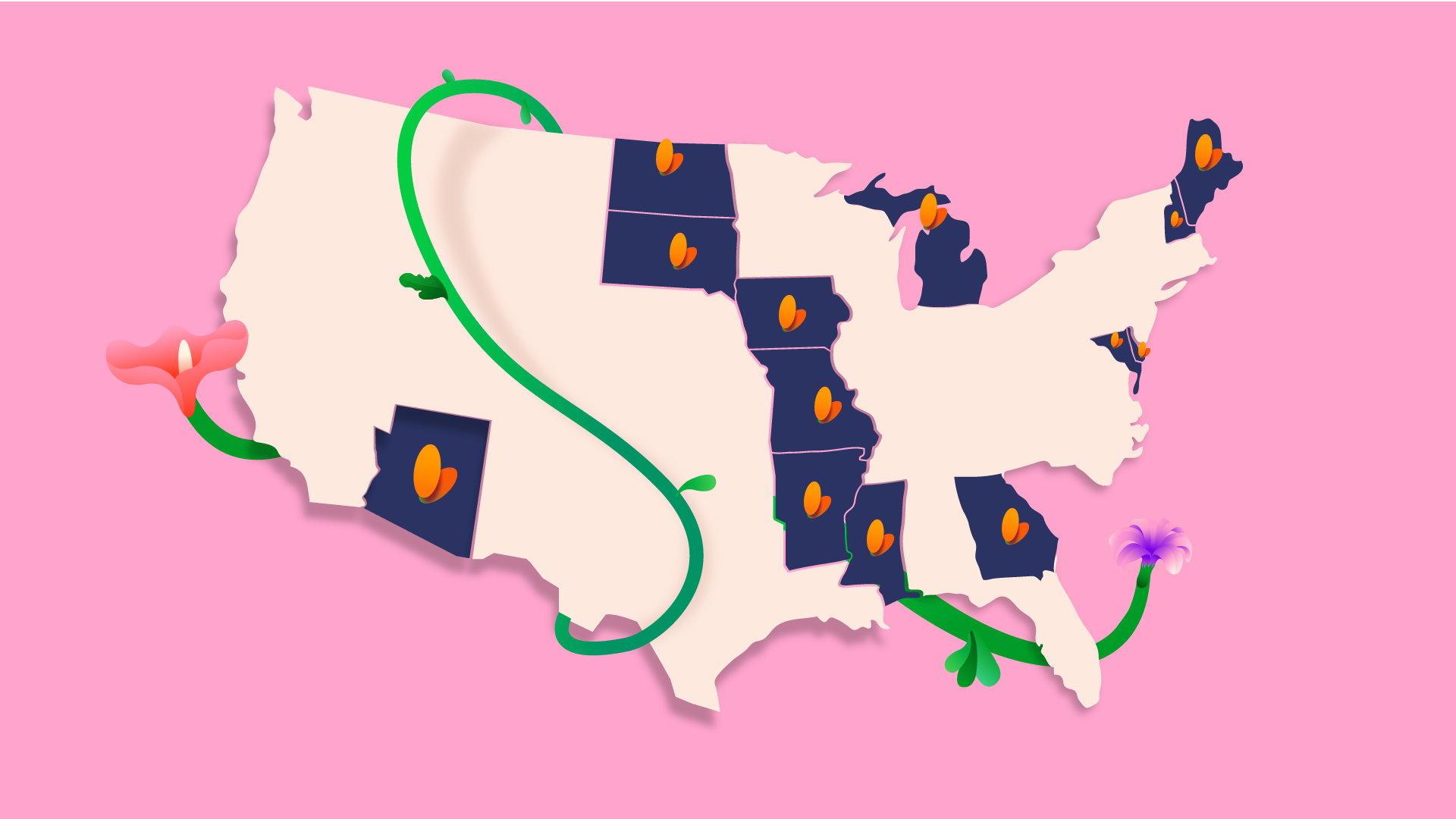 article feature image